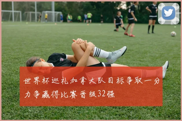 世界杯巡礼加拿大队目标争取一分力争赢得比赛晋级32强