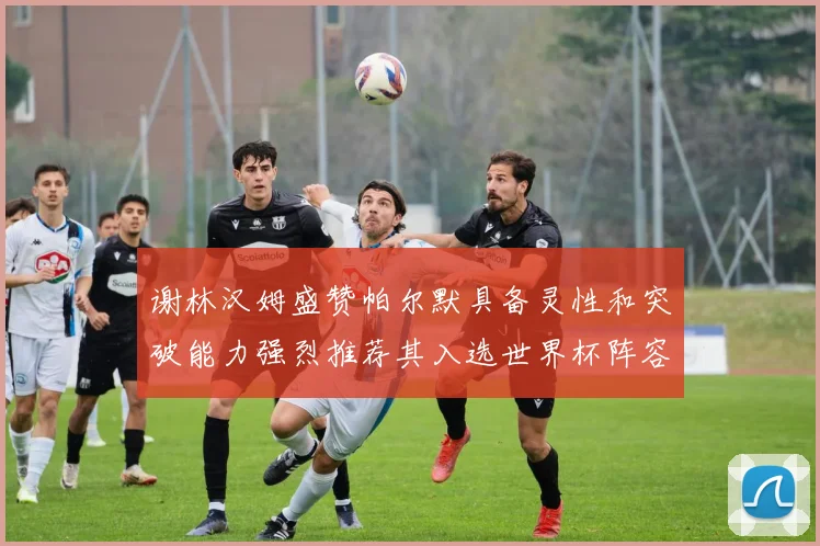 谢林汉姆盛赞帕尔默具备灵性和突破能力强烈推荐其入选世界杯阵容